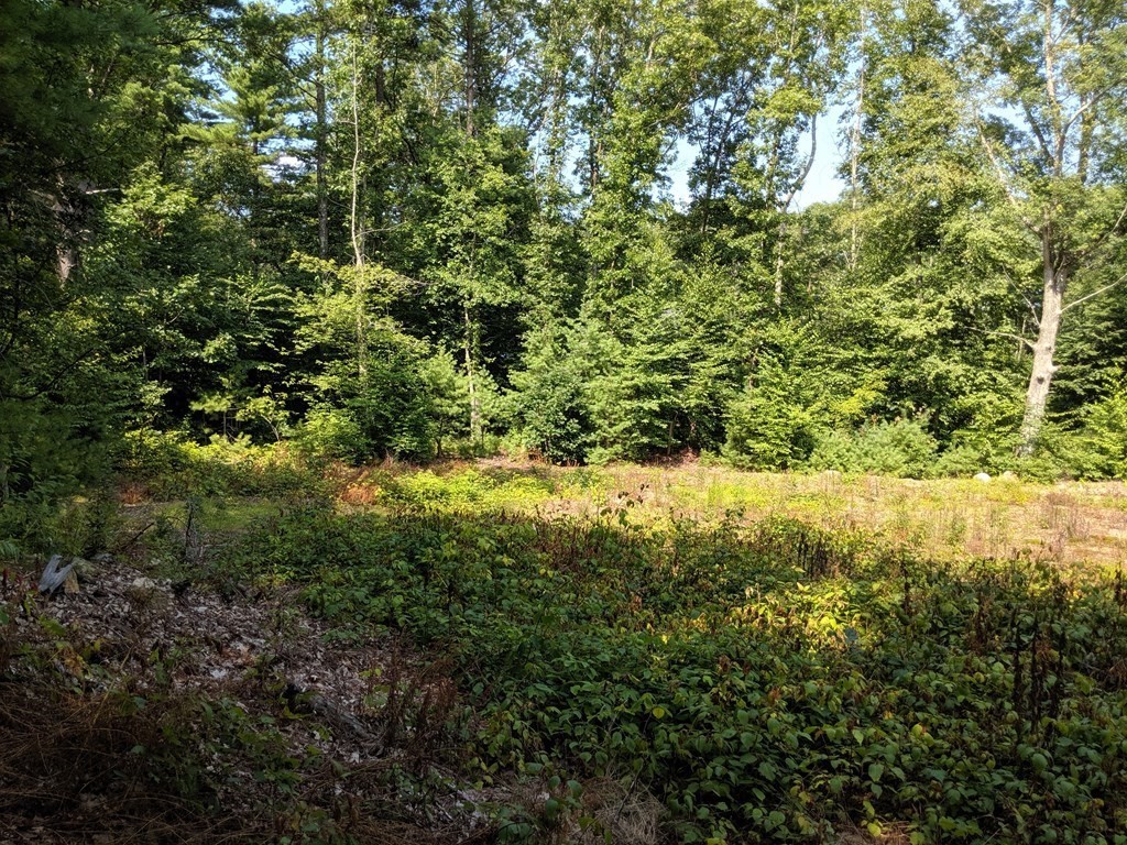 35 Northside Road Charlton, MA 01507 - Photo 21 of 30 Gallery Image 21