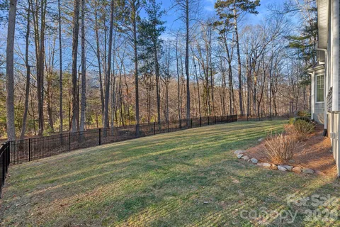 a view of a yard with large trees