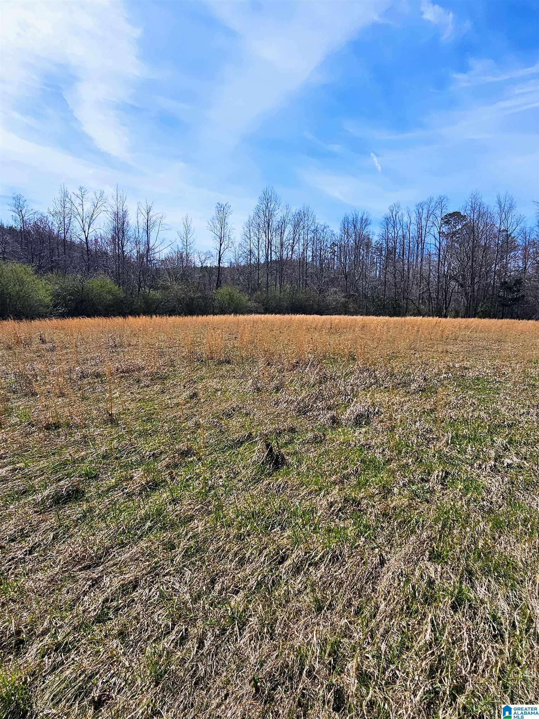 773 County Road 949, Unit 1 Fruithurst, AL 36262 - Photo 2 of 10