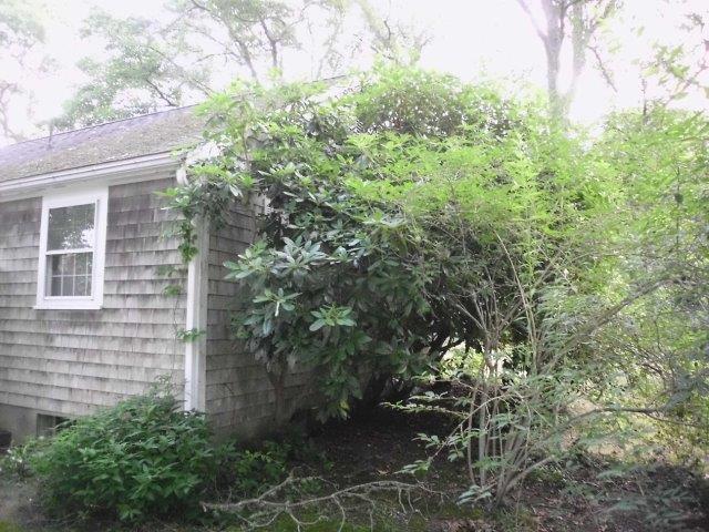 27 Charing Cross Road South Dennis, MA 02660 - Photo 7 of 21 DSCI6468