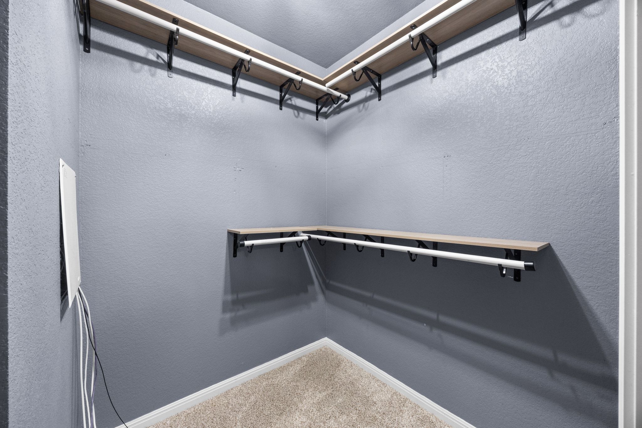 225 Unforgiven Lane Jarrell, TX 76537 - Photo 17 of 30 Spacious closet featuring carpet flooring