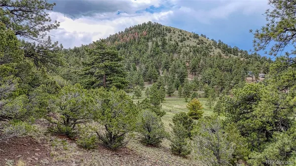 $66,500 | 44 Honeysuckle Terrace, Westcliffe, CO 81252