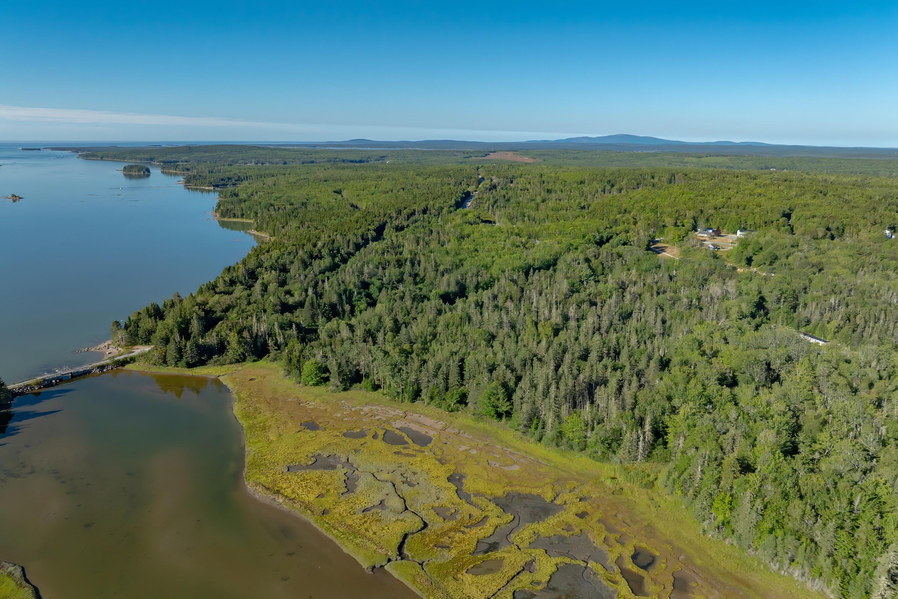 Lot 54 Pinkham Bay Bridge Road Steuben, ME 04680 - Photo 4 of 13