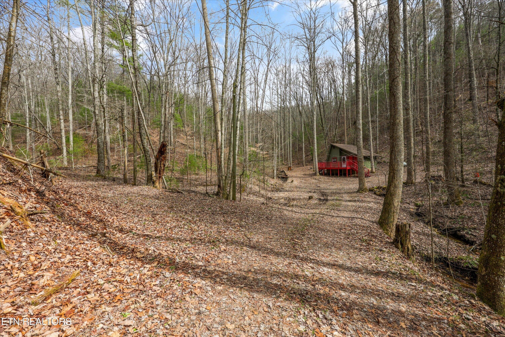 314 Caney Branch Road Tellico Plains, TN 37385 - Photo 15 of 22 Gallery Image 15