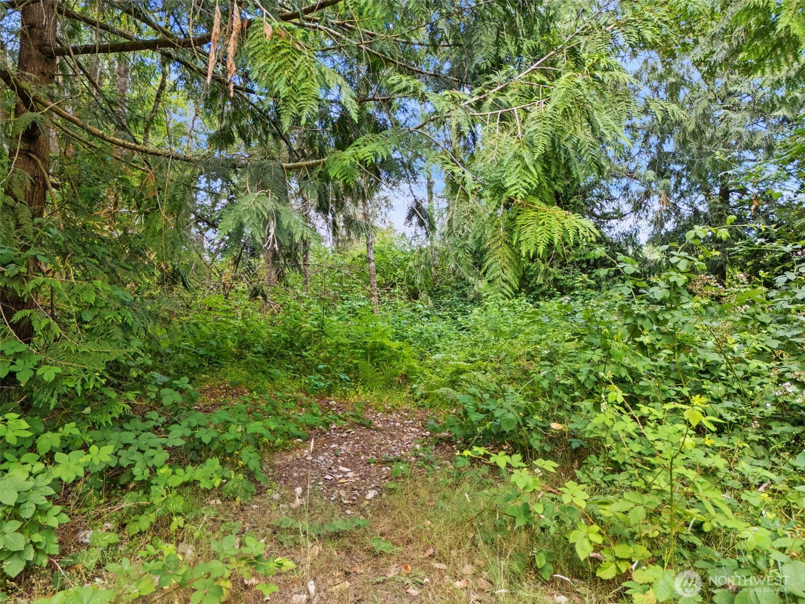 0 Rouse Road Southwest Longbranch, WA 98351 - Photo 11 of 20 Gallery Image 11