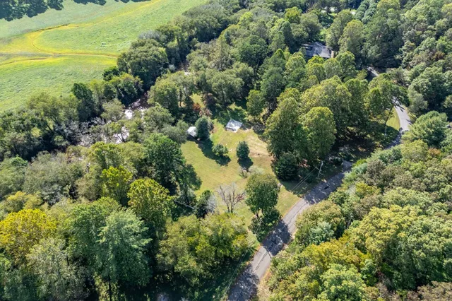 a view of a forest with a houses