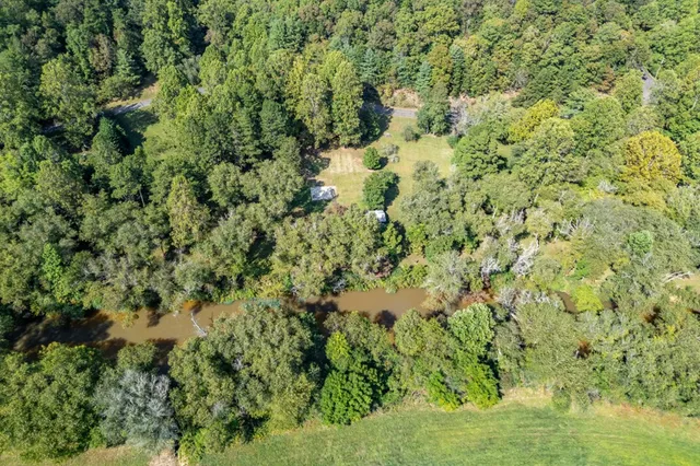 a view of a big yard with plants and large trees