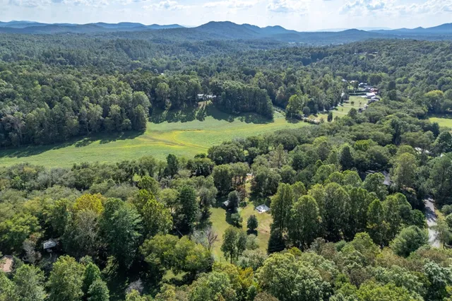 a view of a lush green forest with lots of trees