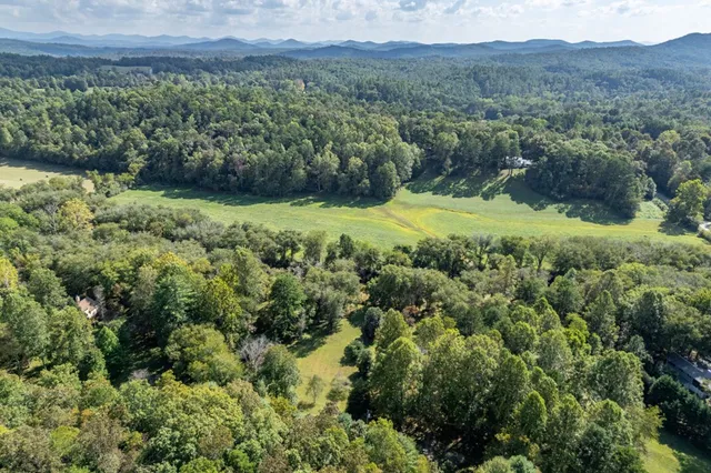 a view of a lake with a mountain