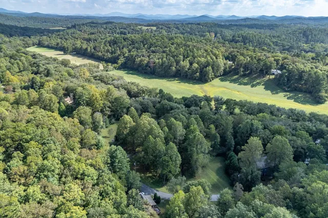 a view of a backyard with large trees