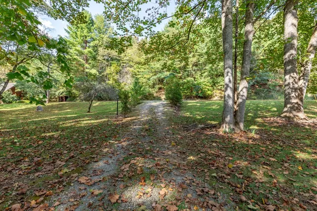 a view of outdoor space with trees all around