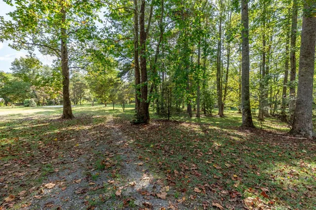 a view of outdoor space with trees