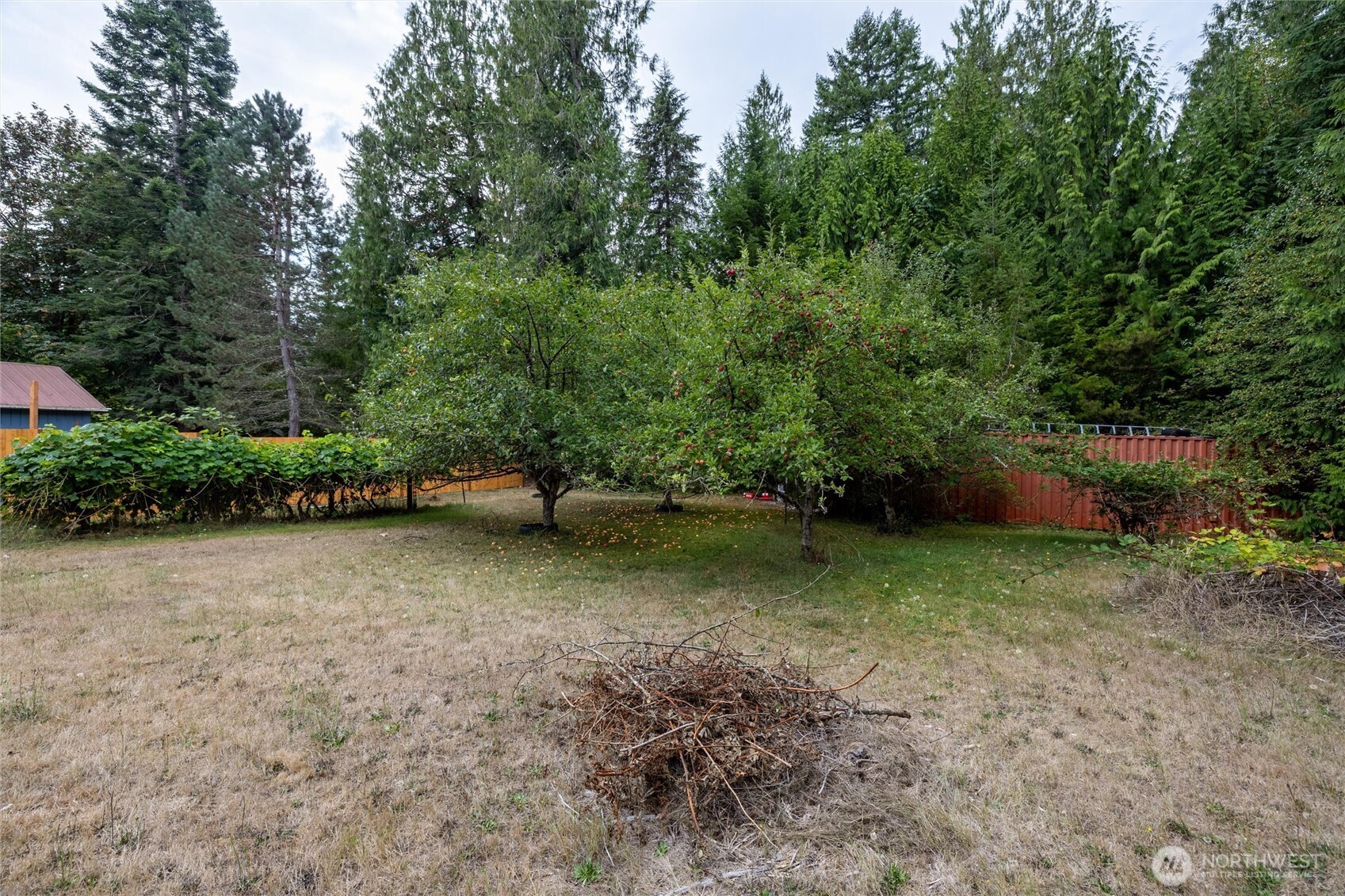 46489 Baker Loop Road Concrete, WA 98237 - Photo 20 of 26 Gallery Image 20