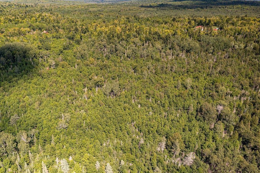 2 Two Harbors Two Harbors, MN 55616 - Photo 6 of 7 Gallery Image 6