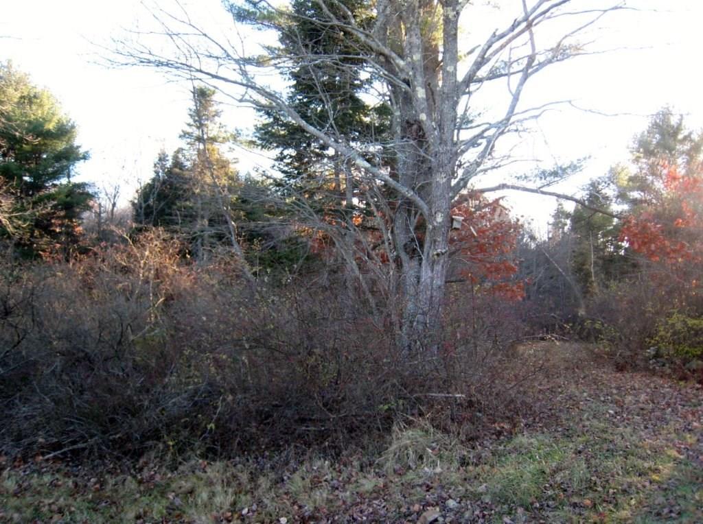 25 Baldwin Road Freeport, ME 04032 - Photo 3 of 12 Photo