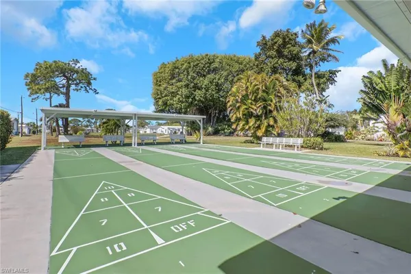 a view of a tennis ground with large trees