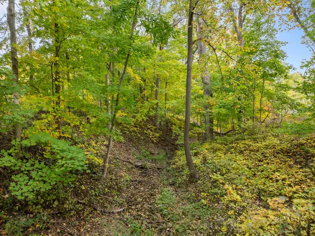 $225,000 | Lt17 Green Hill Drive, Fontana, WI 53125