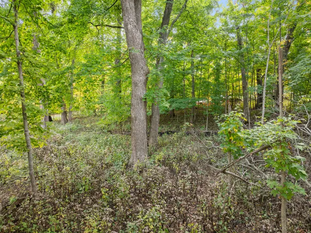 $225,000 | Lt17 Green Hill Drive, Fontana, WI 53125