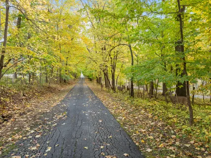 $225,000 | Lt17 Green Hill Drive, Fontana, WI 53125