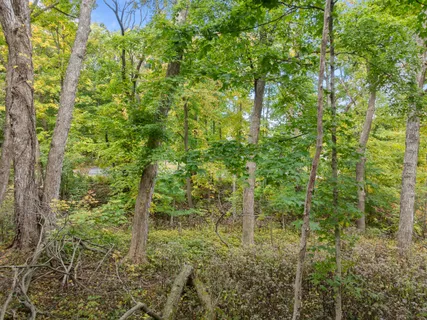 $225,000 | Lt17 Green Hill Drive, Fontana, WI 53125