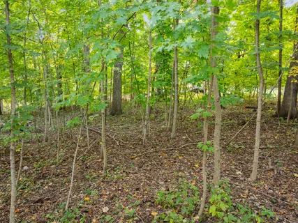 $225,000 | Lt17 Green Hill Drive, Fontana, WI 53125