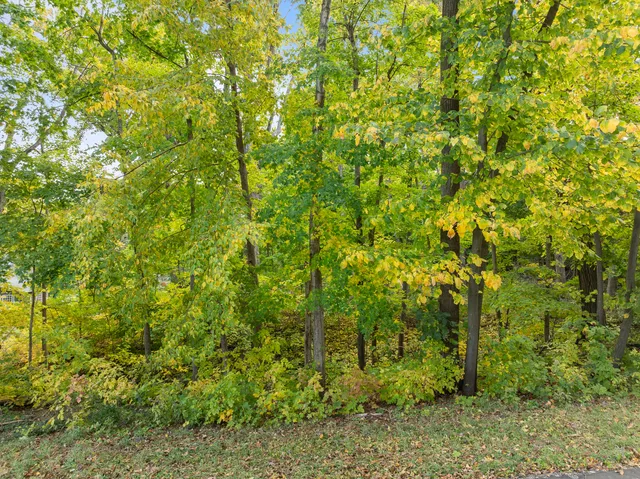 $225,000 | Lt17 Green Hill Drive, Fontana, WI 53125