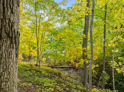 $225,000 | Lt17 Green Hill Drive, Fontana, WI 53125