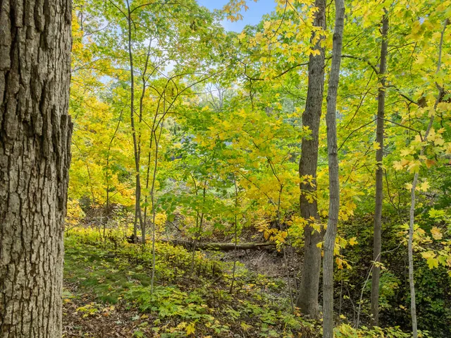 $225,000 | Lt17 Green Hill Drive, Fontana, WI 53125