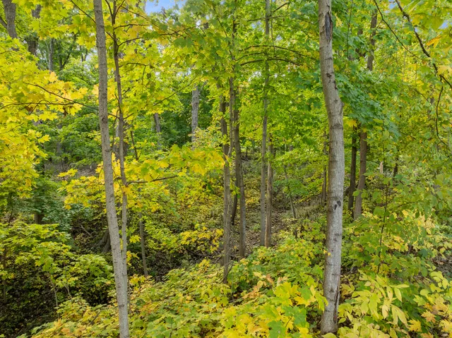 $225,000 | Lt17 Green Hill Drive, Fontana, WI 53125