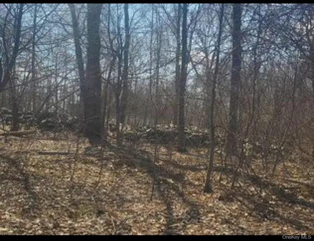 $157,500 | 224 Hickory Hill Lane, Newburgh, NY 12550