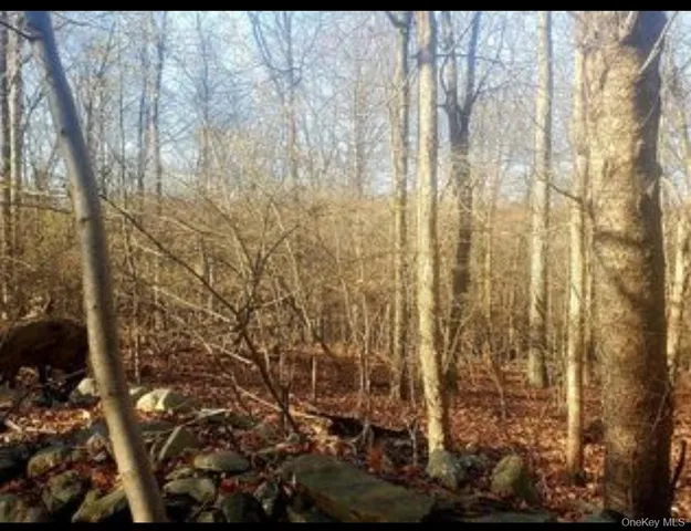 $157,500 | 224 Hickory Hill Lane, Newburgh, NY 12550