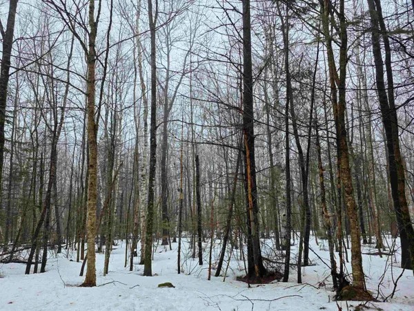 $149,900 | 1500 Allard Hill Road, Sheffield, VT 05866