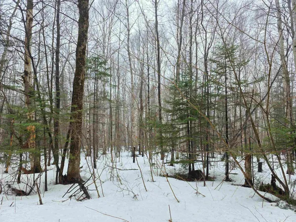 $149,900 | 1500 Allard Hill Road, Sheffield, VT 05866