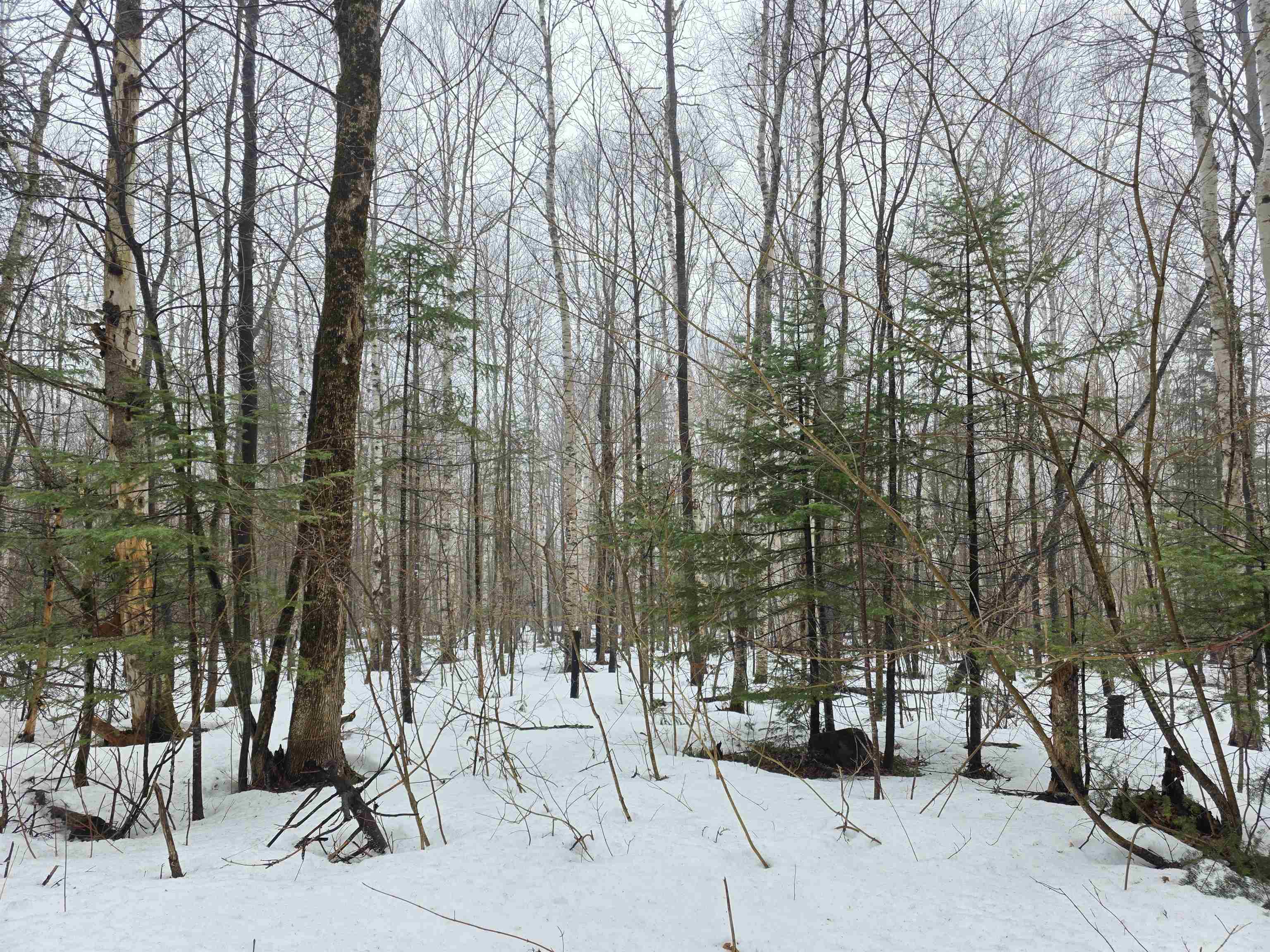 1500 Allard Hill Road Sheffield, VT 05866 - Photo 2 of 4