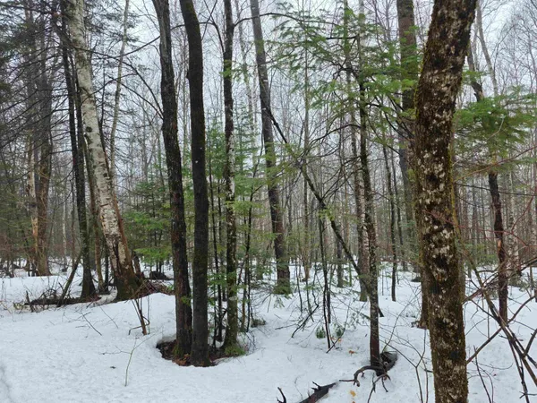 $149,900 | 1500 Allard Hill Road, Sheffield, VT 05866