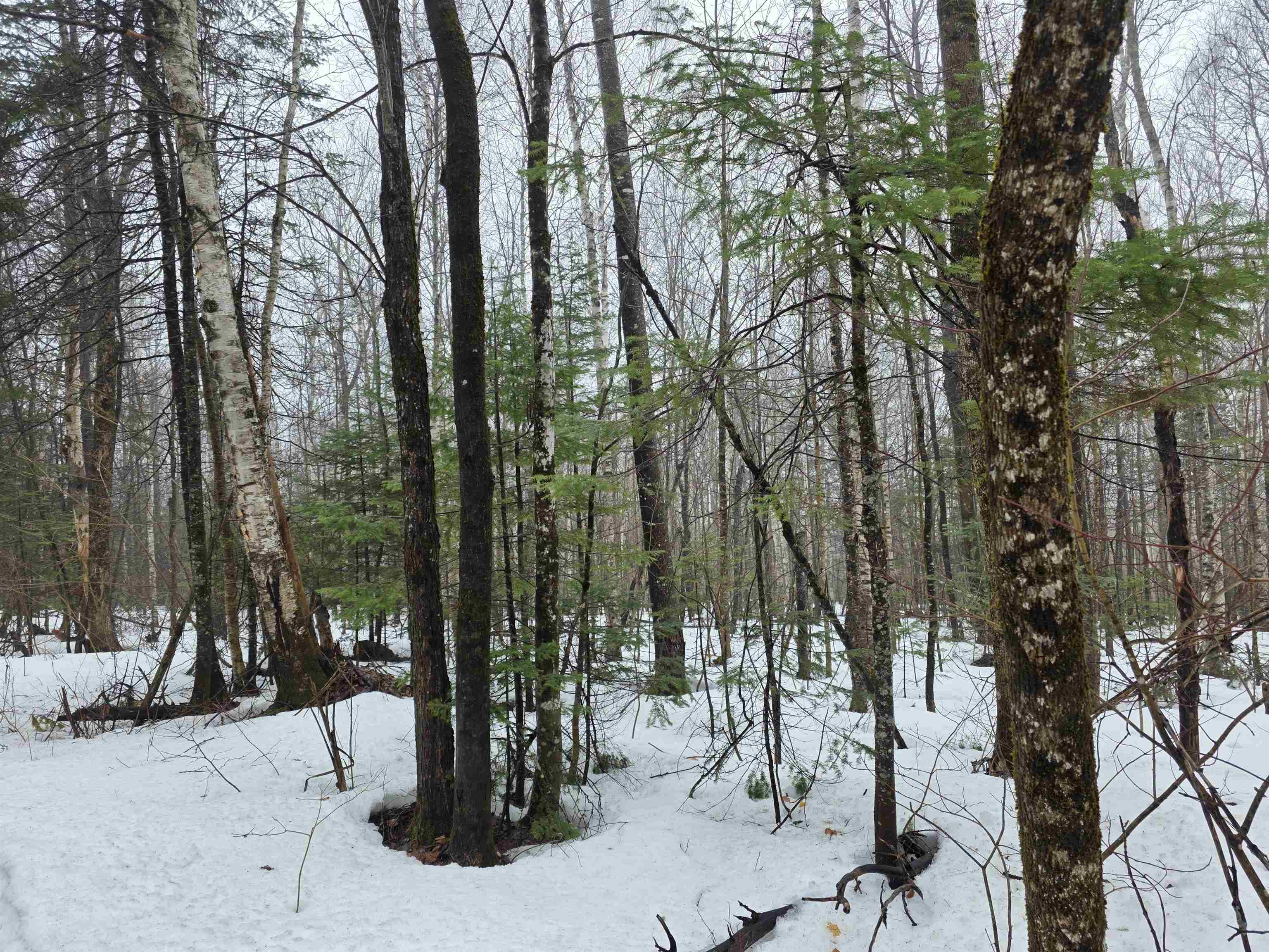 1500 Allard Hill Road Sheffield, VT 05866 - Photo 3 of 4