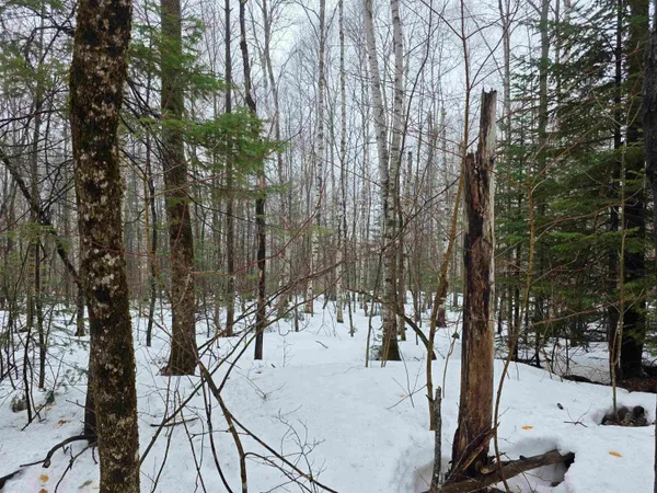 $149,900 | 1500 Allard Hill Road, Sheffield, VT 05866