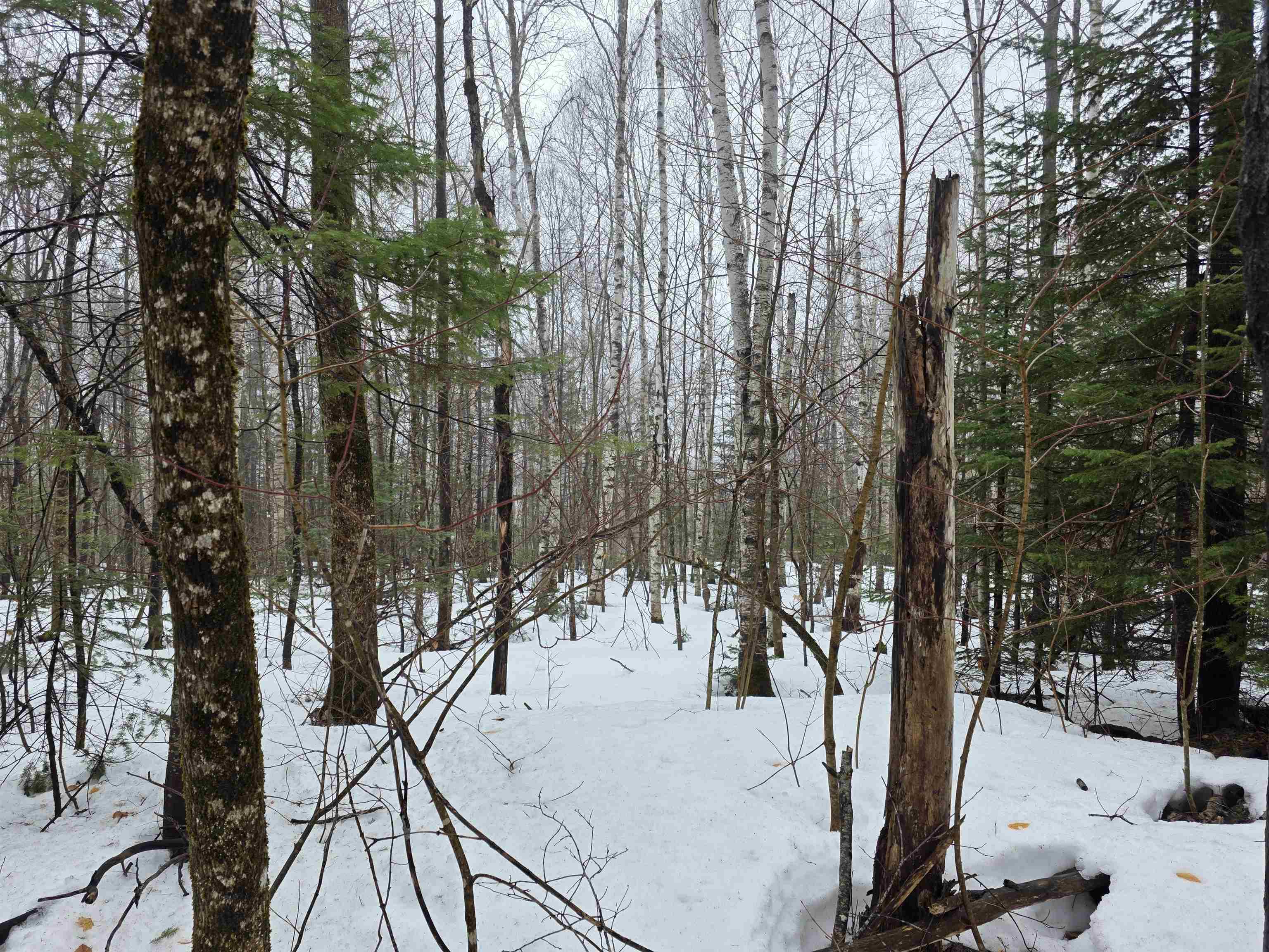 1500 Allard Hill Road Sheffield, VT 05866 - Photo 4 of 4