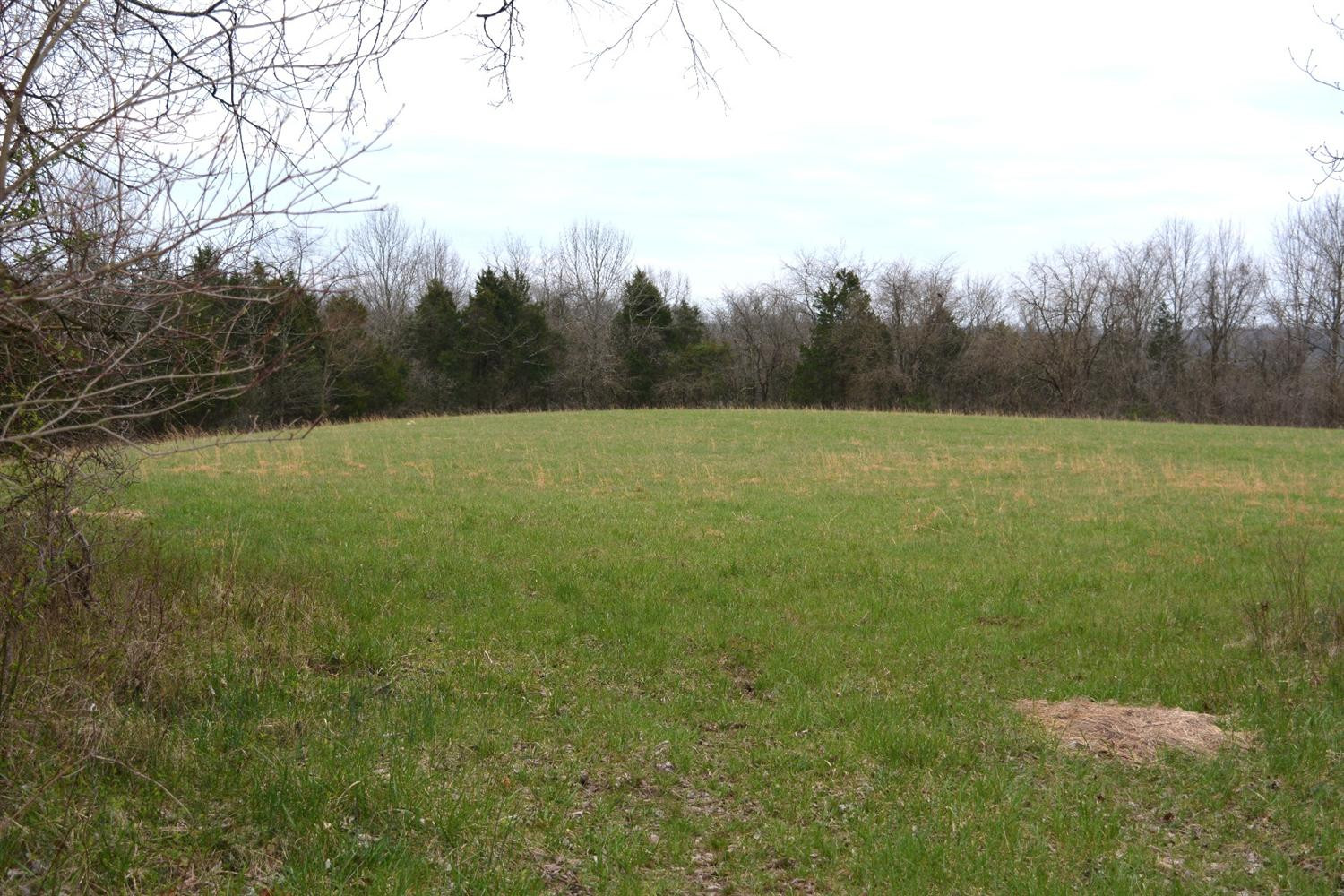 1 Ashes Creek Road Bloomfield, KY 40008 - Photo 13 of 21 Photo 13