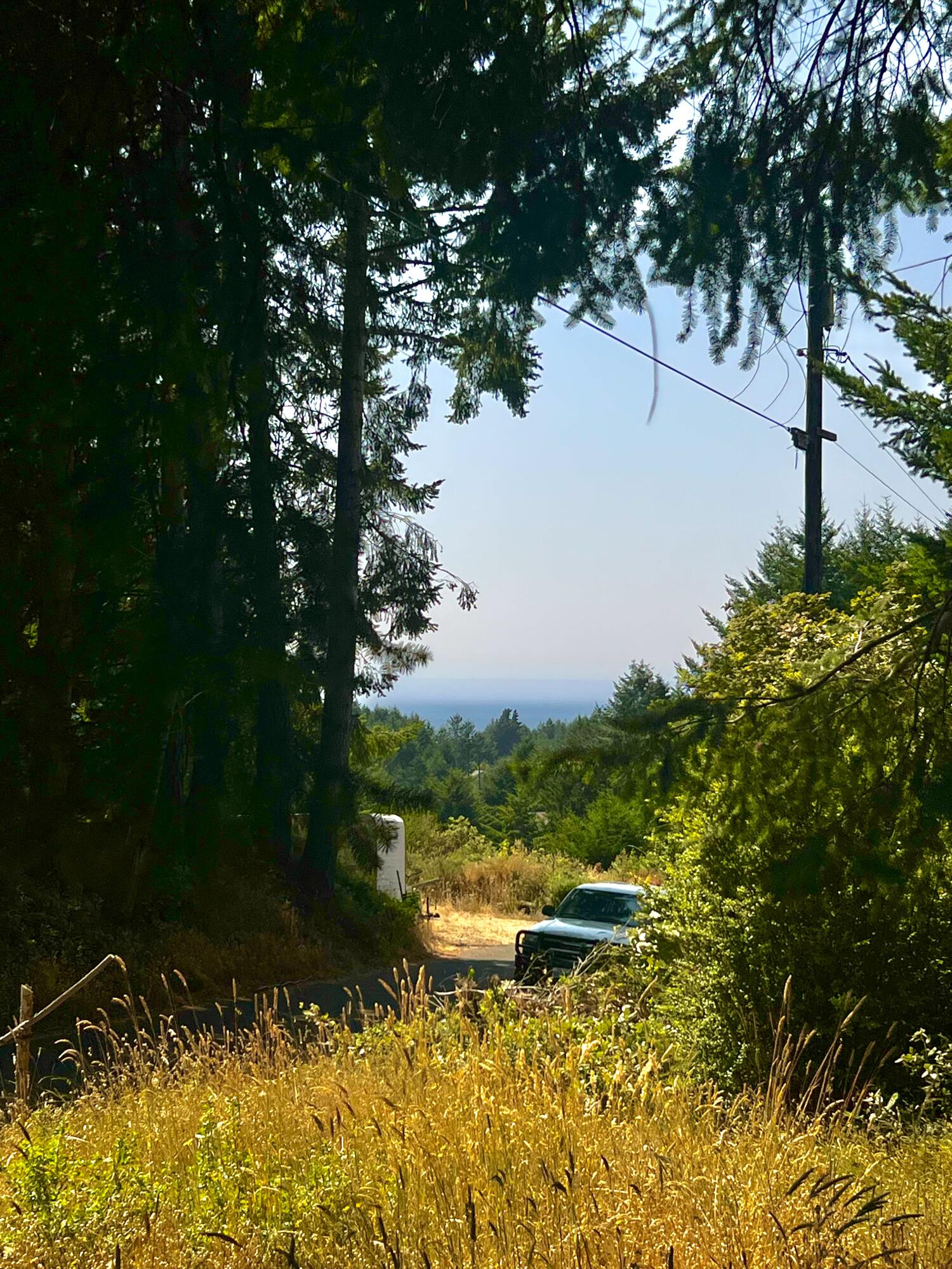 63 Spring Road Shelter Cove, CA 95589 - Photo 4 of 5 IMG_8521