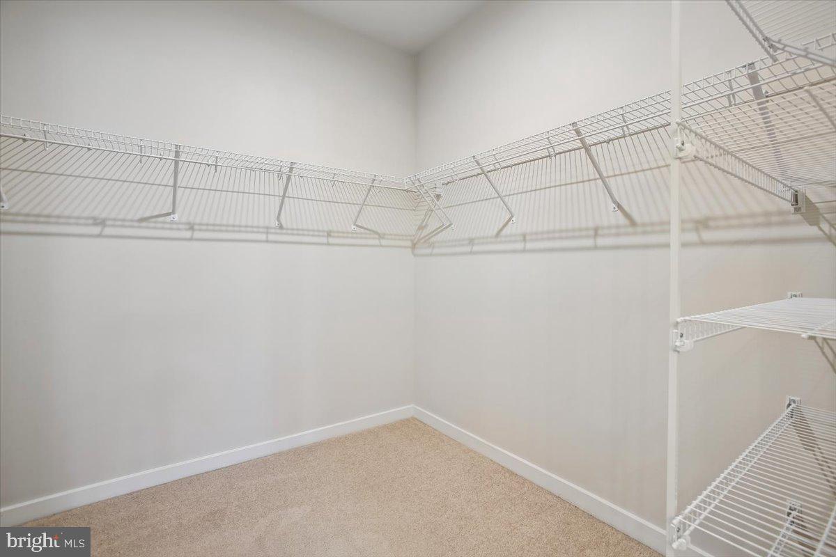 1669 Bandit Loop, Unit 105A Reston, VA 20190 - Photo 26 of 58 Primary Bedroom Walk-In Closet