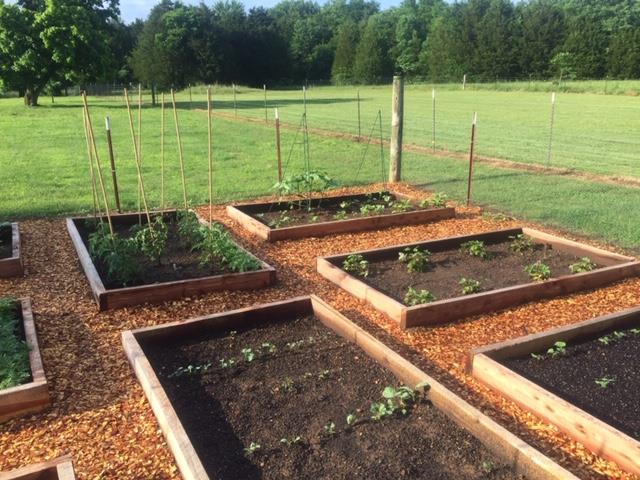 915 Hamilton Chambers Road Lebanon, TN 37087 - Photo 18 of 18 a view of a backyard with a garden