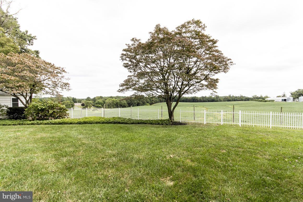 9911 Pepper Hill Road Perry Hall, MD 21128 - Photo 27 of 30 a view of a field with a tree in the background