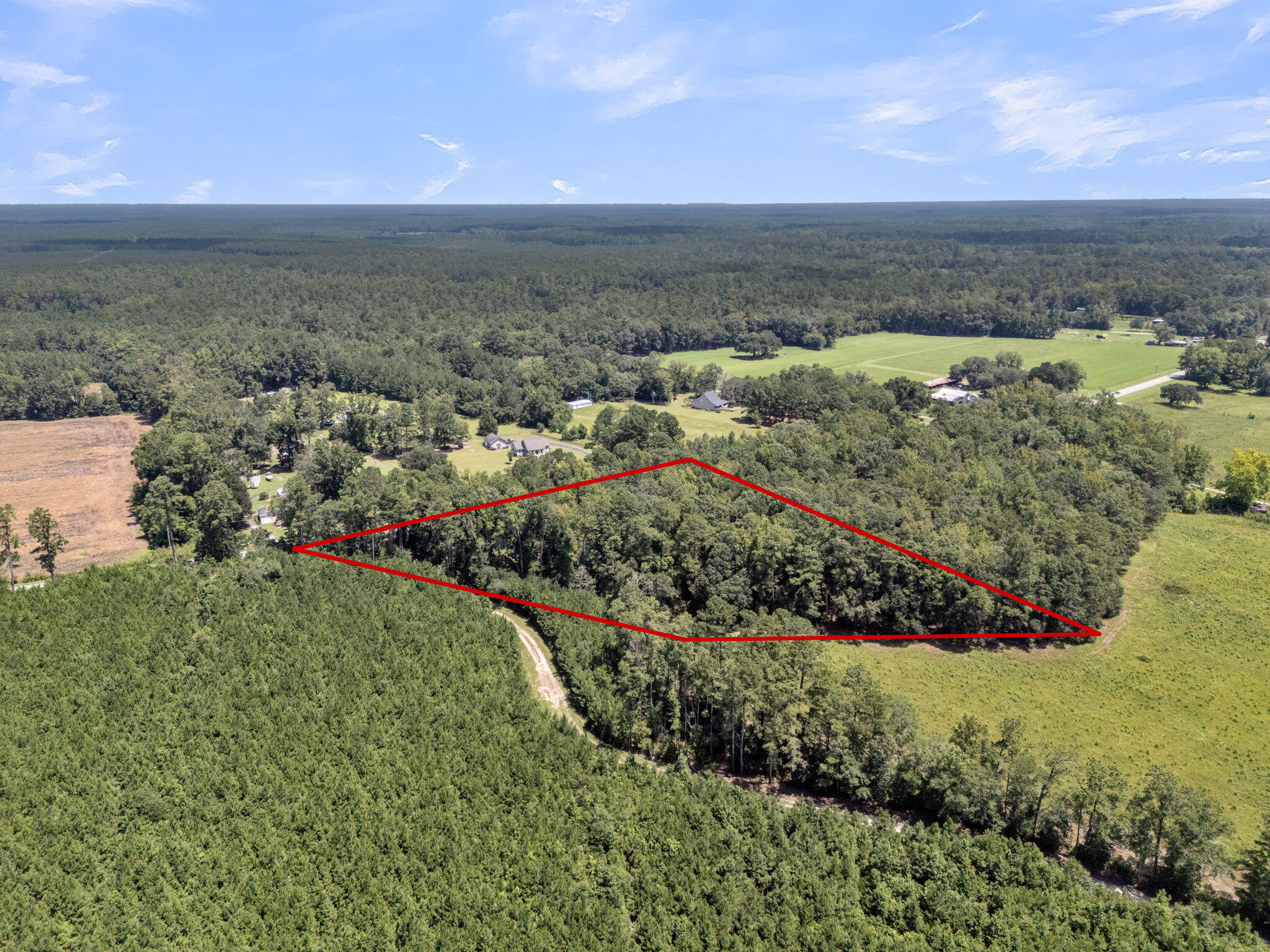 0 Cypress Campground Road Ridgeville, SC 29472 - Photo 8 of 16