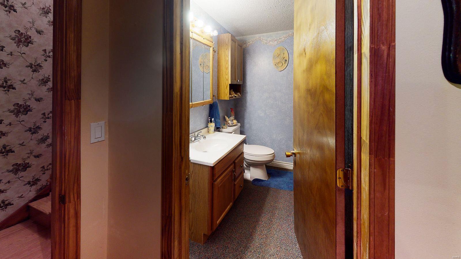 11795 Lake Catatoga Road Shipman, IL 62685 - Photo 49 of 99