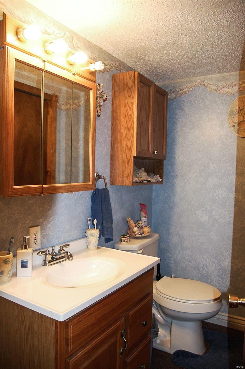 11795 Lake Catatoga Road Shipman, IL 62685 - Photo 50 of 99