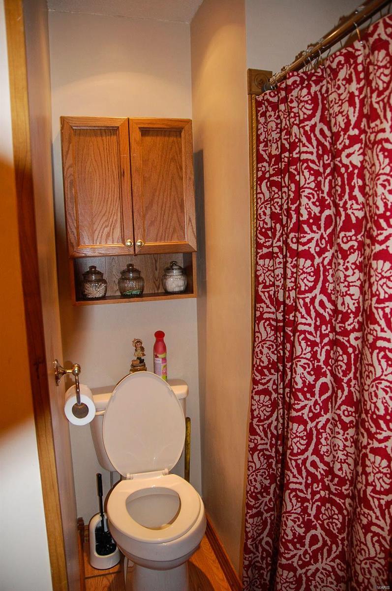 11795 Lake Catatoga Road Shipman, IL 62685 - Photo 56 of 99