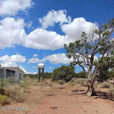 4014 Sorrel Road Snowflake, AZ 85937 - Photo 2 of 14 a view of a town with trees around