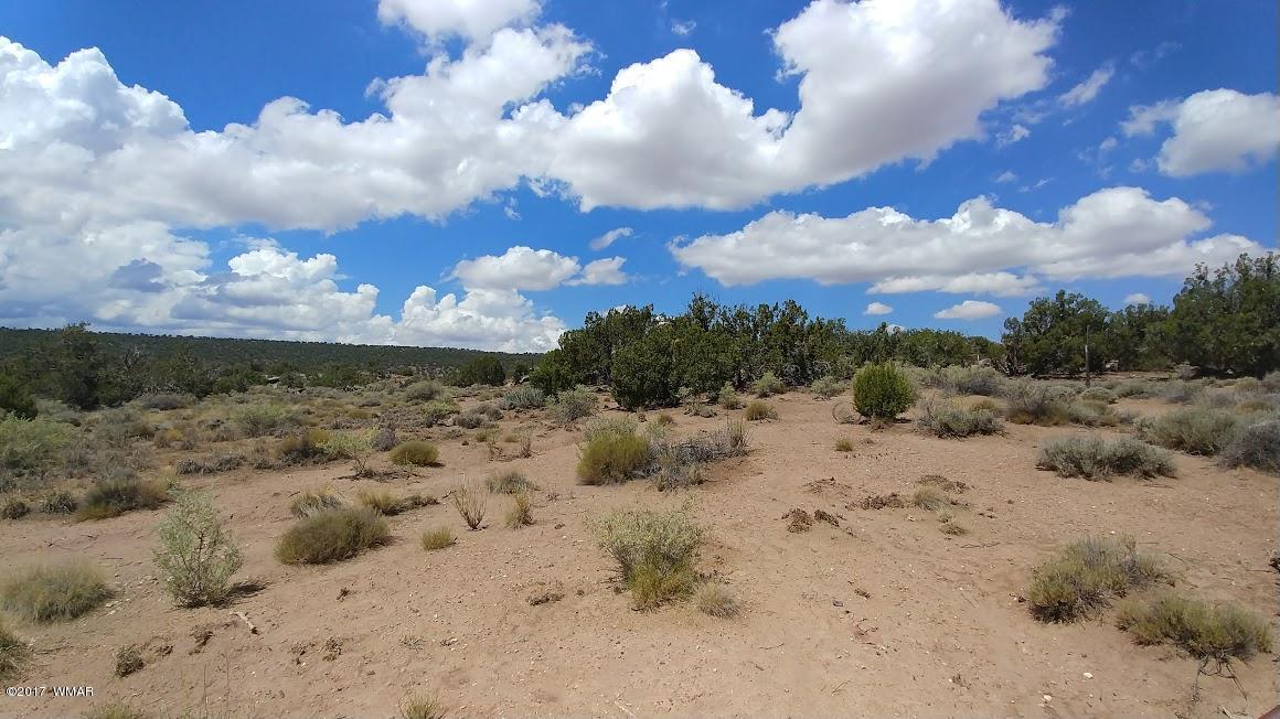 4014 Sorrel Road Snowflake, AZ 85937 - Photo 5 of 14 a view of a dry yard covered with snow