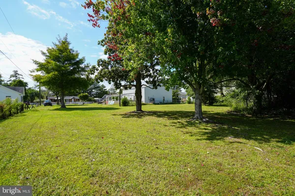 a view of a trees with a yard